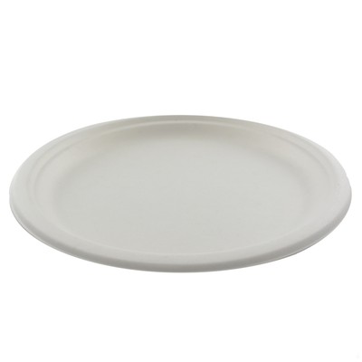 White Paper Plates - Large 26cm Pk250