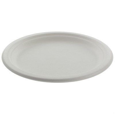 White Paper Plates - Large 23cm Pk250