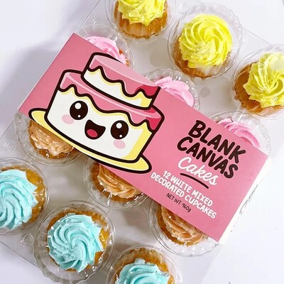 Blank Canvas Frozen White Mixed Decorated Cupcakes Pk 12