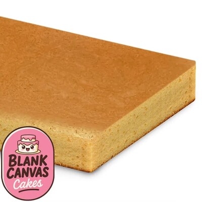 Blank Canvas Frozen Naked White Chocolate Mud Slab Cake 40x30cm