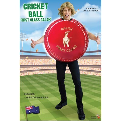 Adult Cricket Ball Costume One Size