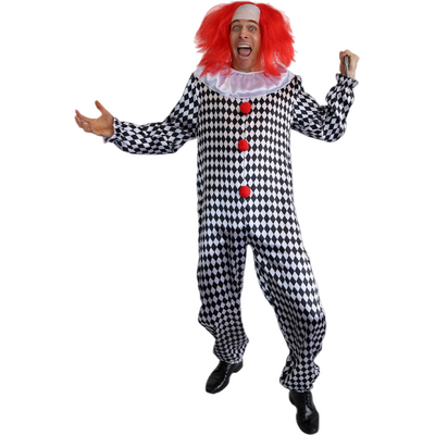 Adult Crazy Clown Jumpsuit with Wig Halloween Costume Standard Size