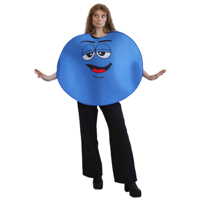 Adult Blue Coloured Chocolate Button Character Costume Unisex One Size Fits Most
