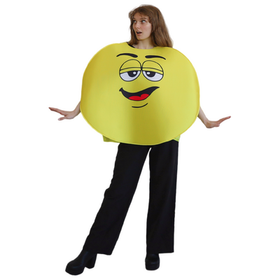 Adult Yellow Coloured Chocolate Button Character Costume Unisex One Size Fits Most