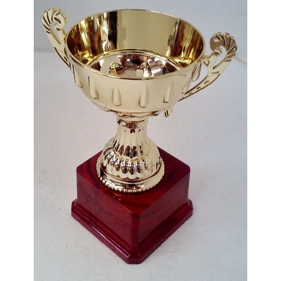 Gold Trophy Award (17cm) Pk 1