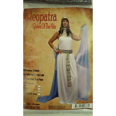 Adult Cleopatra Deluxe Costume - Large Pk 1