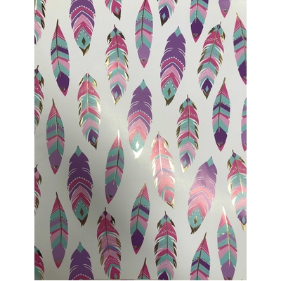 Feathers Gift Wrap 700mm x 495mm (Pk 1)