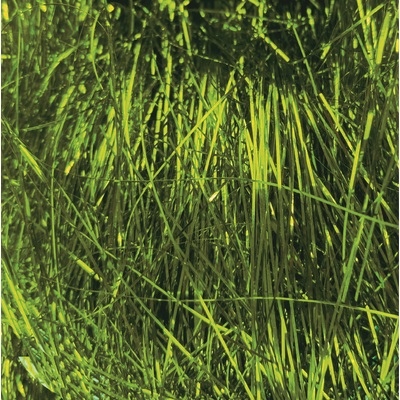 Metallic Green Tinsel Shred 30g (Pk 1)