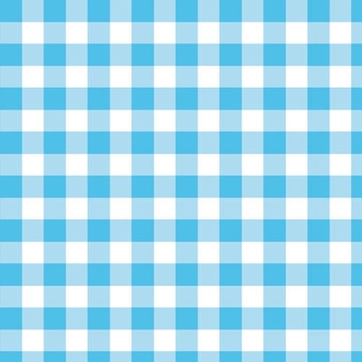 Blue Gingham Print 2Ply Lunch Napkins (Pk 20)