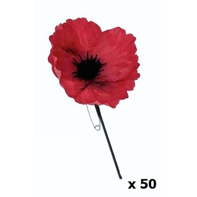 Remembrance Day Red Poppy Pin Pk 50