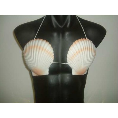 Hawaiian Shell Bikini Bra Top Pk 1