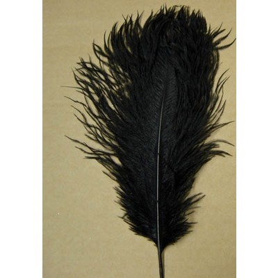 Black Ostrich Feather (30cm) Pk 1 