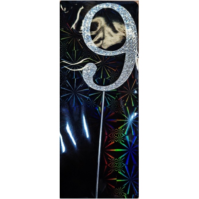 Diamante Number Numeral 9 Cake Topper 7.5cm