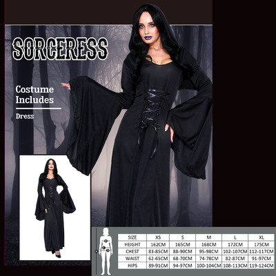 Adult Sorceress Costume (Large) Pk 1