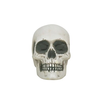 Plastic Skull Halloween Table Decoration 18 x 12.7cm