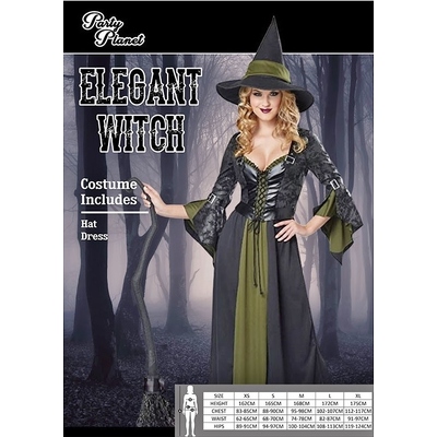 Adult Elegant Witch Dress & Hat Costume (Medium)