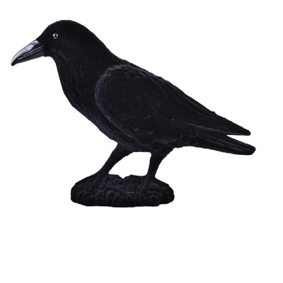 Small Black Raven Halloween Decoration (30x18cm) Pk 1 