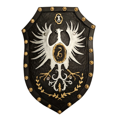 Leather Look Knight Shield (51 x 36cm) Pk 1