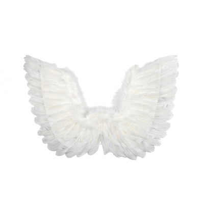 White Feather Wings with Silver Tinsel Pk1 
