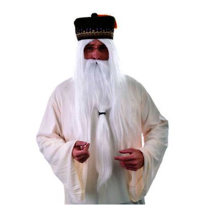 Long White Wizard Wig & Beard Set (Pk 1)