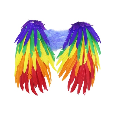 Rainbow Carnival Costume Feather Wings
