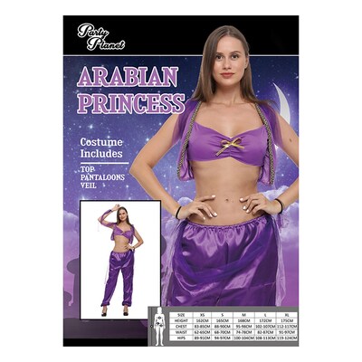 Adult Purple Arabian Princess Costume (Small, 8-10)