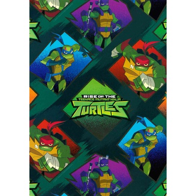 TMNT Ninja Turtles Gift Wrap 700mm x 495mm (Pk 1)