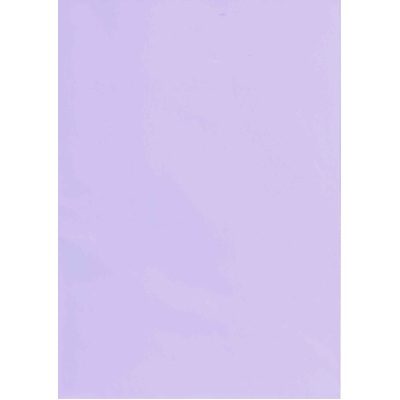 Lilac Gift Wrap 700mm x 495mm (Pk 1)