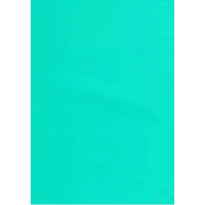Teal Green Gift Wrap 700mm x 495mm Pk1 Art