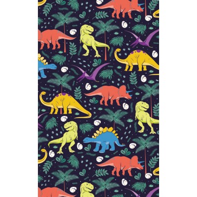 Gift Wrap Dinosaurs 700mm x 495mm Pk 1 