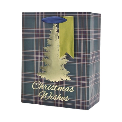 Green Tartan Christmas Wishes Gift Bag 18x23cm