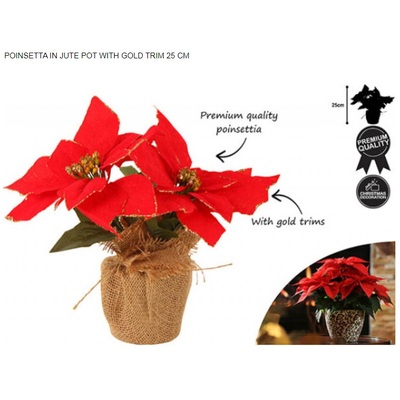 Christmas Poinsettia with Gold Trim Decoration 25cm (Pk 1)